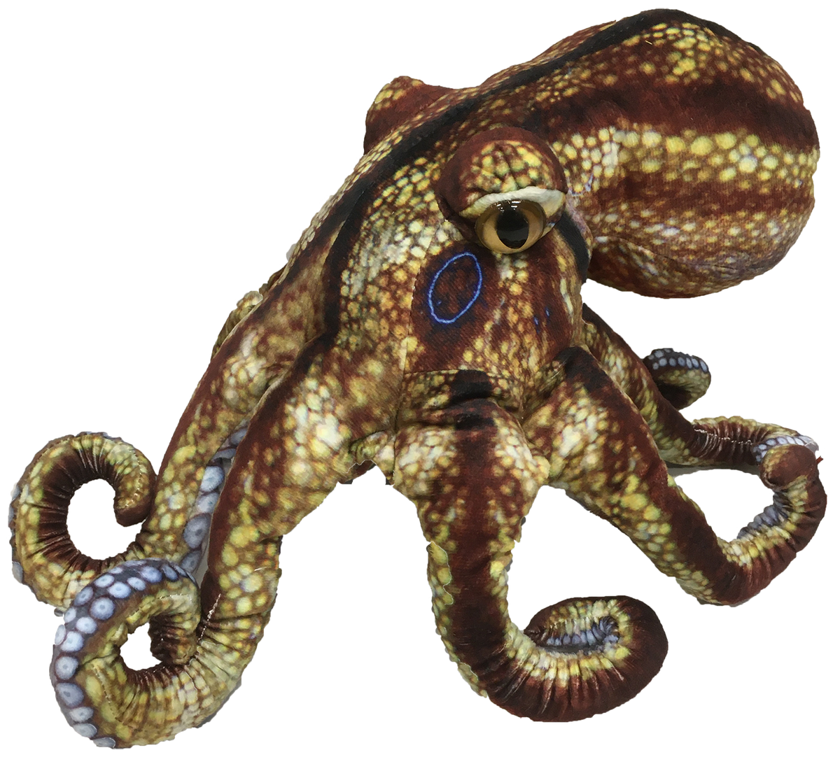 Octopus Aquatic Ocean Plush 10 Stuffed Animal – Cq Gifts