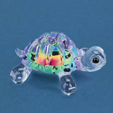 Turtle, Tie-Dye