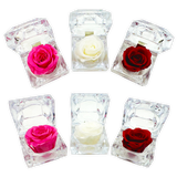 Valentine's Day Preserved Rose Keepsake Assortment- 12/Pack