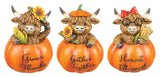 HIGHLAND COW IN PUMPKIN 3 AST
