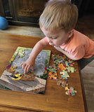 Bluebird and Bouquet (tray) 35pc puzzle
