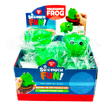 So Much Fun! Squeaking Frog - 12/Display