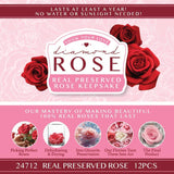 Valentine's Day Preserved Rose Keepsake Assortment- 12/Pack