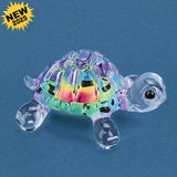 Turtle, Tie-Dye