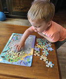 USA Map (Tray) 35pc puzzle