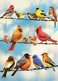 Birds on a Wire 500-Piece Puzzle