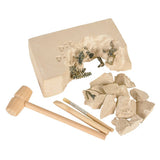 DINOSAUR DELUXE FOSSIL EXCAVATION KIT