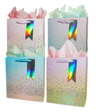Everyday Gift Bag - Pastel Ombre color with sliver dot