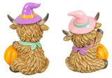 Witchy Halloween Pastel Highland Calf 5" Sitter 2 Ast