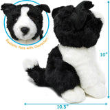 Borna the Border Collie | 11 Inch Stuffed Animal Plush