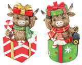 Christmas Highland Cow Gift Box Tabletop Assorted