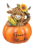 HIGHLAND COW IN PUMPKIN 3 AST
