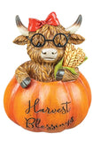 HIGHLAND COW IN PUMPKIN 3 AST