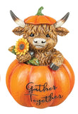 HIGHLAND COW IN PUMPKIN 3 AST