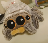 Plush Spider