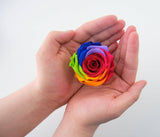 Valentine's Day Preserved Rose Keepsake Assortment- 12/Pack