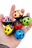 Ladybug Polymer Bouncy Stress Ball - 24 Pcs