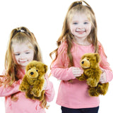 Borya The Baby Brown Grizzly Bear | 10 Inch Stuffed Animal P