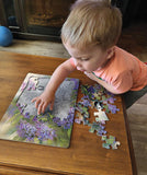 Chickadee Duo (tray) 35pc puzzle