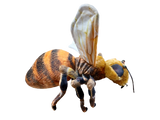 Bee 14" Plush Insect Stuffed Animal