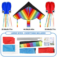 Large Rainbow Delta Kite with 2 Bonus Kites