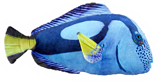 Blue Tang Aquatic Fish Plush Stuffed Animal 16.5"