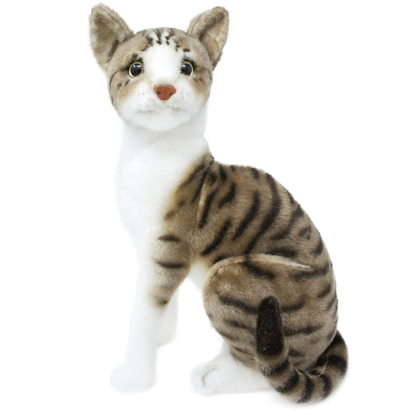 Amy The American Shorthair Cat | 14 Inch Stuffed Animal Plus