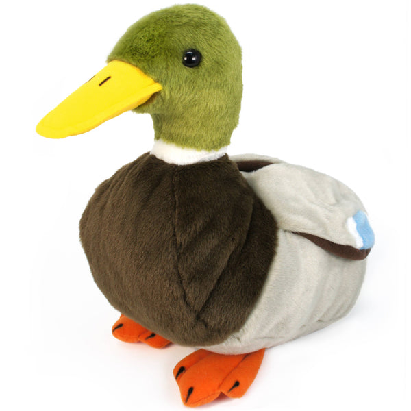 Dakota The Duck | 13 Inch Stuffed Animal Plush